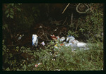 Cedarkirk Camp litter