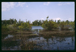 Lake Park marsh by Hillsborough County ELAPP