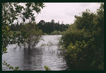 Lake Park water's edge by Hillsborough County ELAPP