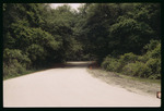 Lake Park dirt road by Hillsborough County ELAPP