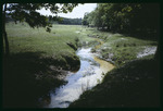 Pringle Branch stream by Hillsborough County ELAPP