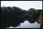 Sever-Packard segment of Hillsborough River by Hillsborough County ELAPP
