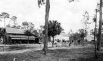 People and horses in the yard of a Florida horse farm by Ensminger Brothers