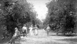 Men and women in an orange grove in Sanford, Fla.