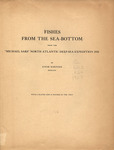 Fishes from the sea-bottom : from the 