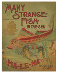 Many Strange Fish in the Sea