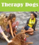 Therapy Dogs, Oct. 17 3:30 - 4:30