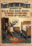 Striving for fortune, or, From bell-boy to millionaire