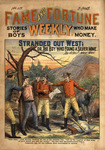 Stranded out west, or, The boy who found a silver mine
