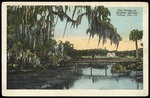 The Bridge at Sulphur Springs, Tampa, Fla.--2