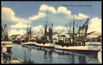 1--Shrimp Fleet at Tampa, Florida