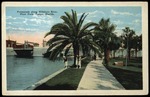 Promenade along Hillsboro River, Plant Park, Tampa, Florida