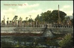 Palmaceia Springs, Tampa, Fla
