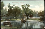 Sulphur Springs, Tampa, Fla