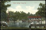 Sulphur Springs, Tampa, Fla