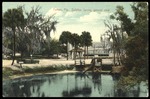 Tampa, Fla. Sulphur Spring, general view