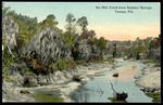 Six Mile Creek from Sulphur Springs, Tampa, Fla