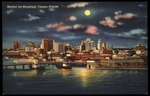 Skyline by Moonlight, Tampa, Florida