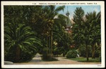 T-29. TROPICAL FOLIAGE ON GROUNDS AT TAMPA BAY HOTEL, TAMPA, FLA