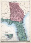 Georgia & Florida by John Bartholomew