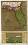 Map of Florida by J. H Young