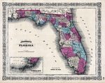 Johnson's Florida by A. J Johnson