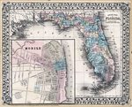 County map of Florida by S. Augustus Mitchell