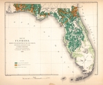 Map of Florida showing the distribution of the pine forests, with special reference to the lumber industry by Charles Sprague Sargent