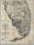Military map of the peninsula of Florida south of Tampa Bay by J. C Ives