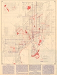 Official Map of the City of Tampa, Florida, and Vicinity