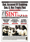 Florida Sentinel Bulletin, January 4, 2011