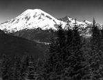 Mount Rainier in Washington by Allan D. Cruickshank