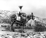 A young man riding a donkey at Hot Springs