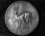 Allan D. Cruickshank's 1950 Country Life award for wildlife photography by Allan D. Cruickshank