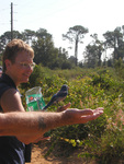 Pam Bowen feeds a Florida Scrub-jay perched on her hand, Leesburg, Florida by Florida Ornithological Society