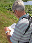 Peter Merritt consults a birding guide, Leesburg, Florida
