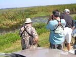 Three Florida Ornithological Society (FOS) members carefully observe a marshland landscape , Leesburg, Florida