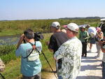 Seven Florida Ornithological Society (FOS) members observe marshland with binoculars , Leesburg, Florida