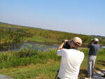 Two Florida Ornithological Society (FOS) members observe marshland with a camera and binoculars , Leesburg, Florida by Florida Ornithological Society