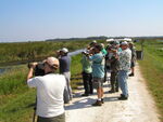 Florida Ornithological Society (FOS) members observe marshland with binoculars, Leesburg, Florida by Florida Ornithological Society