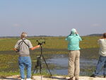 Murray Gardler and Peter Merritt observe marshland birds, Leesburg, Florida by Florida Ornithological Society