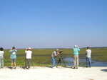 Six Florida Ornithological Society (FOS) members line up along a dirt road to observe and take pictures of the landscape , Leesburg, Florida