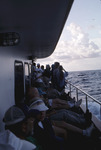 Florida Ornithological Society (FOS) members line the deck of a sight-seeing boat during a pelagic trip in West Palm Beach
