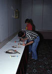 Two Florida Ornithological Society (FOS) members observe a row of bird skins at the 1994 spring meeting in West Palm Beach