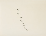 8 Wood Ibis in Formation Over the Prairie by Samuel A. Grimes
