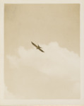Bird Flying in Front of Cloud by Samuel A. Grimes