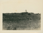 Field with Trees B by Samuel A. Grimes
