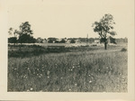 Field with Trees C by Samuel A. Grimes