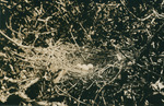 Nest with Four Eggs in Tree by Samuel A. Grimes