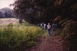 A group of eight Florida Ornithological Society members hike along an outdoor path in Jacksonville, Florida